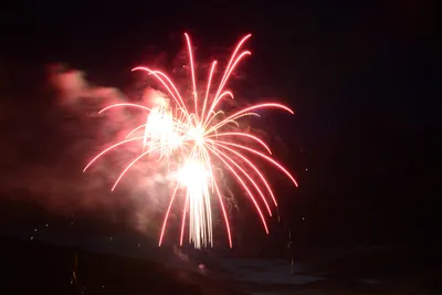 DSC_3355 (Large).JPG